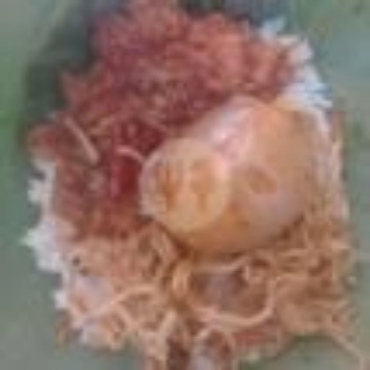 Pongset Telor