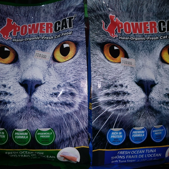 Power Cat Adult