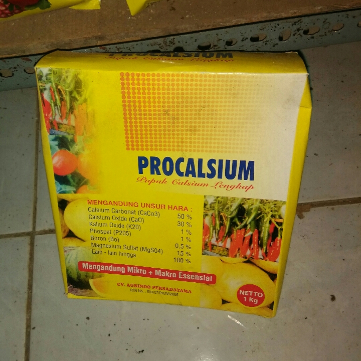 Procalsium 