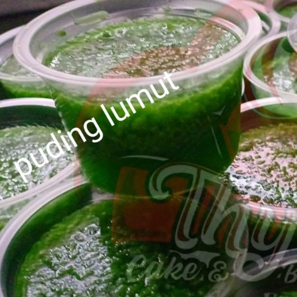 Puding Lumut