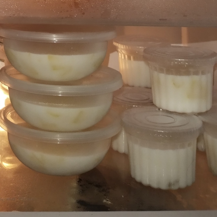 Puding Nangka