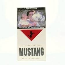 ROKOK MUSTANG