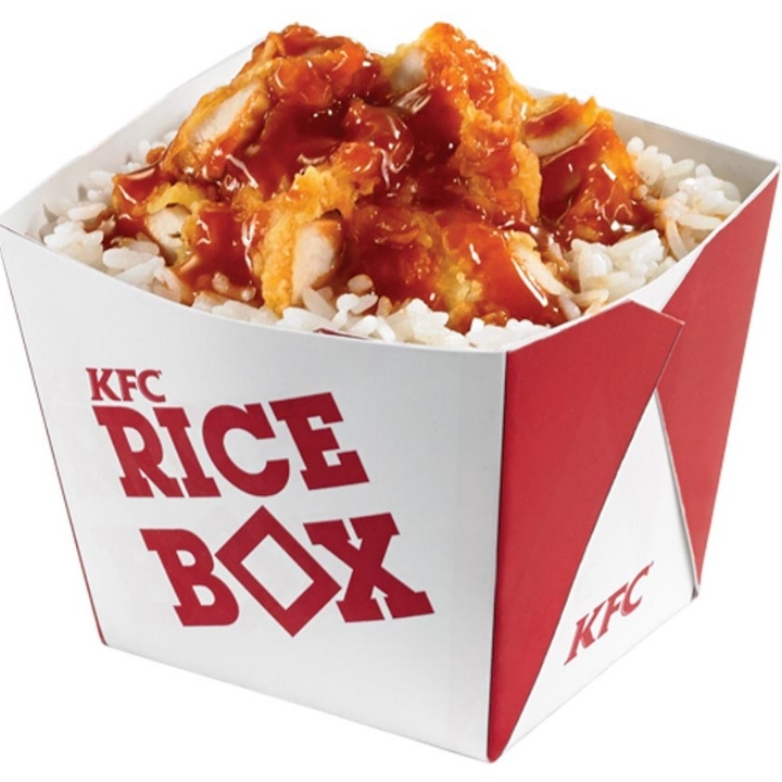 Rice Box Bento
