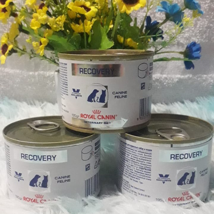 Royal Canin Recovery