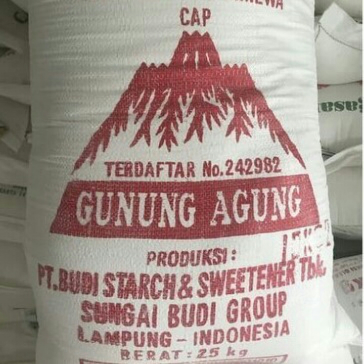 SAGU GUNUNG KARUNG 25 KG