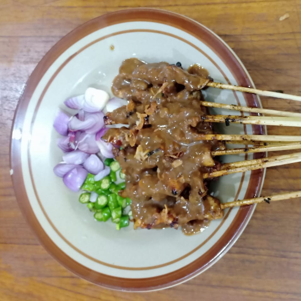 SATE SAPI