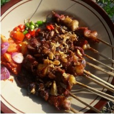 SATE SAPI