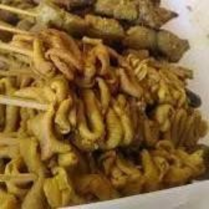 SATE USUS