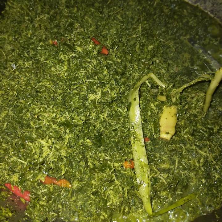 SAYUR TUTTU