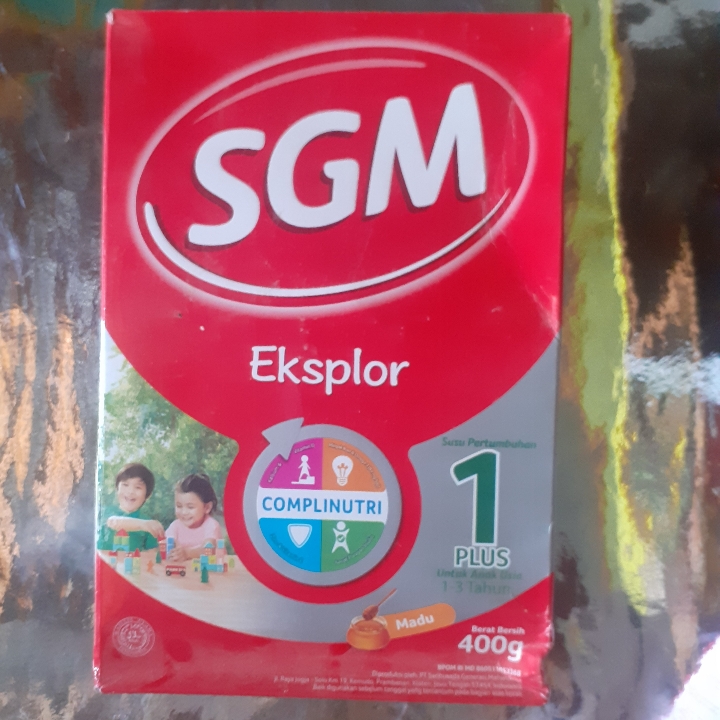 SGM 1