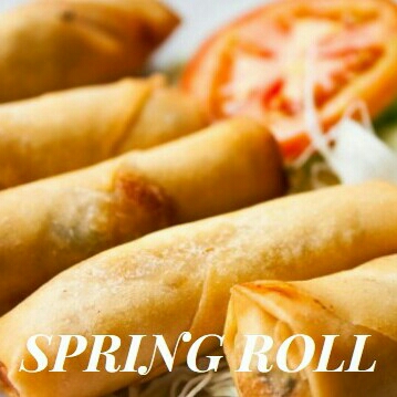 SPRING ROLL