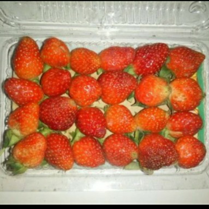 STRAWBERRY KECIL