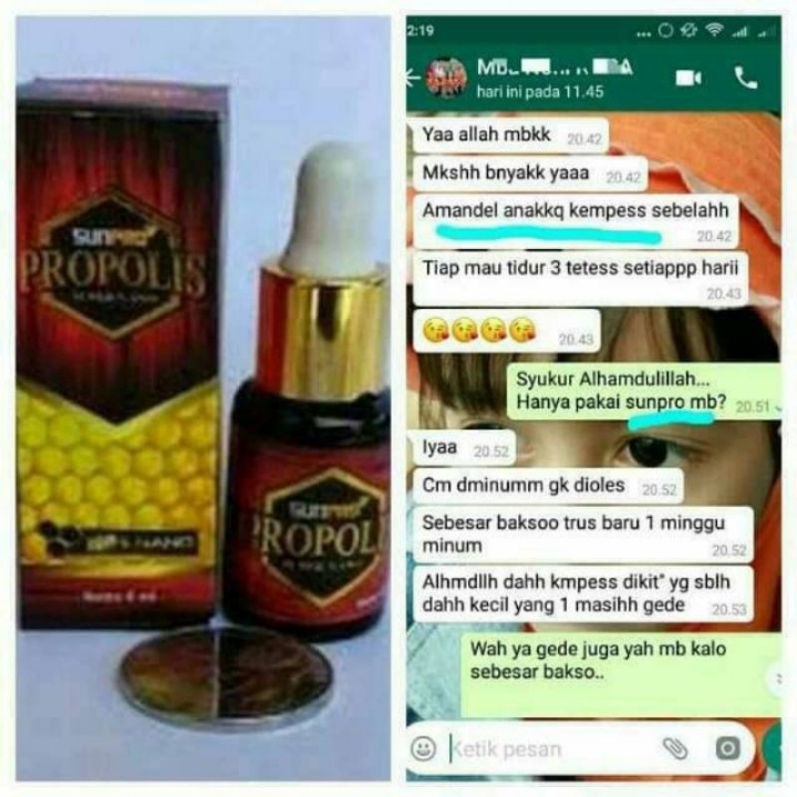 SUNPRO PROPOLIS 3