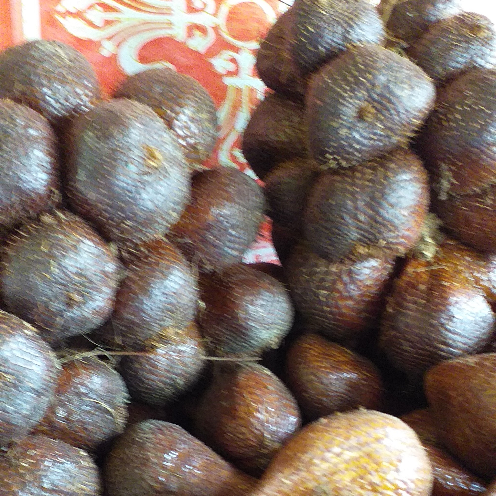 Salak Pondoh