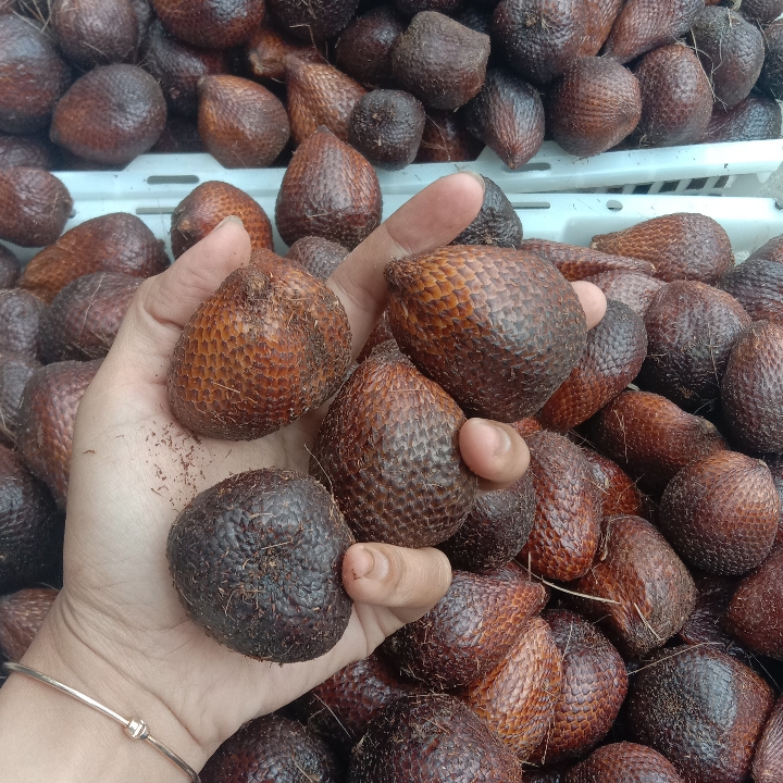 Salak Pondoh