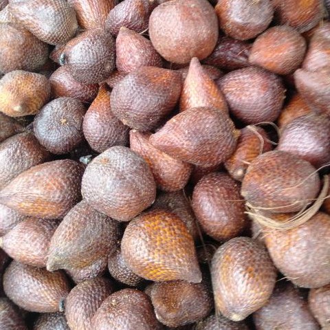 Salak Pondoh Kecil