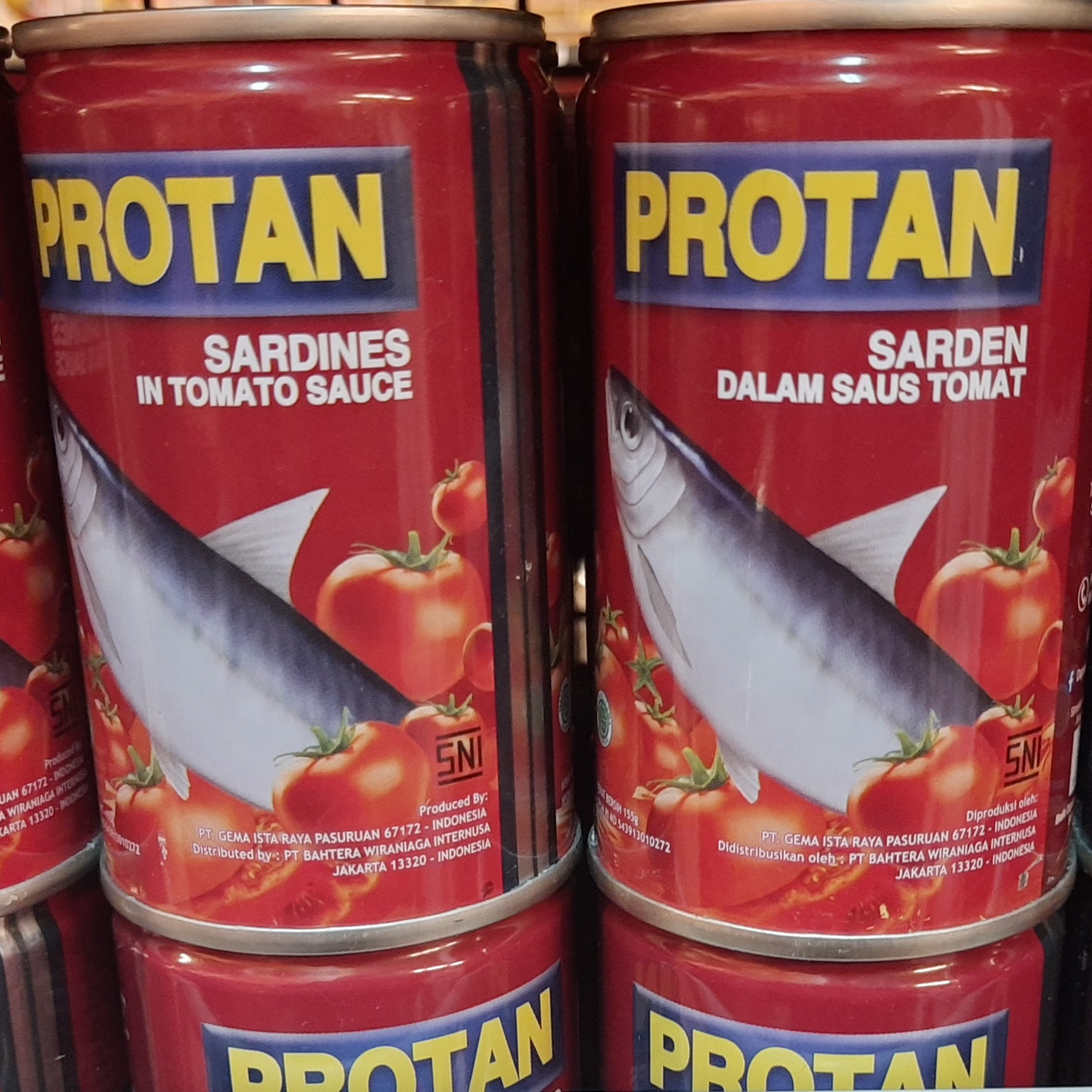 Sarden Protan