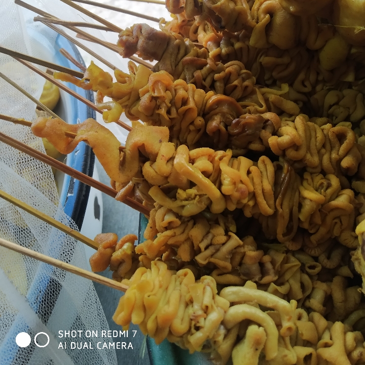 Sate Usus