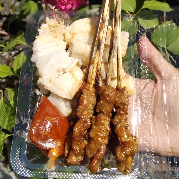 Sate Babi