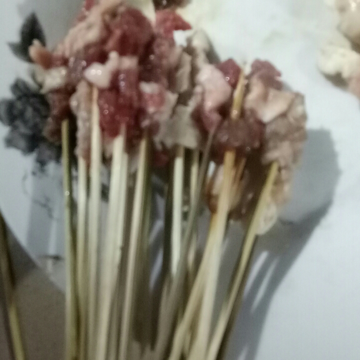 Sate Lalat Kambing