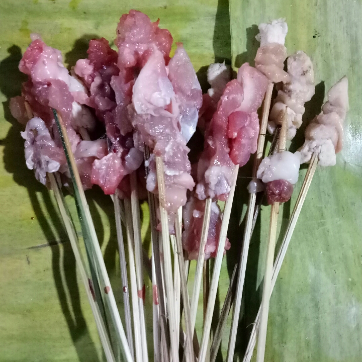 Sate Lalat Kelinci