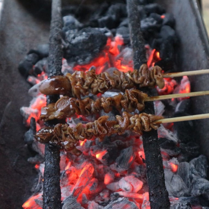 Sate Pela Ati Usus