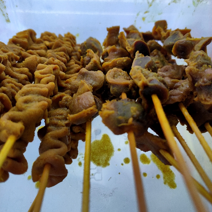 Sate Usus 