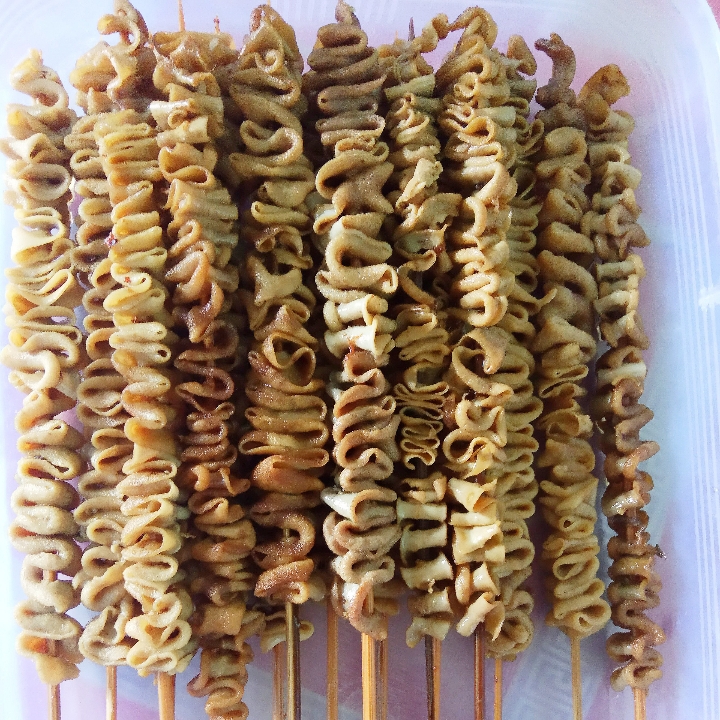 Sate Usus