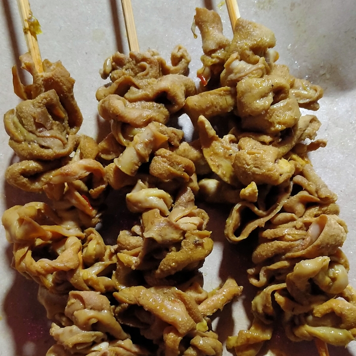 Sate Usus