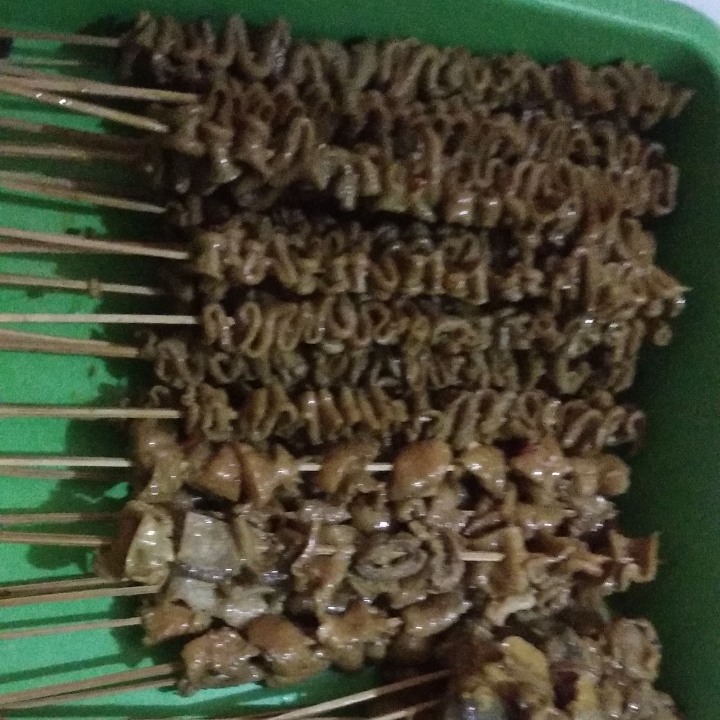 Sate Usus