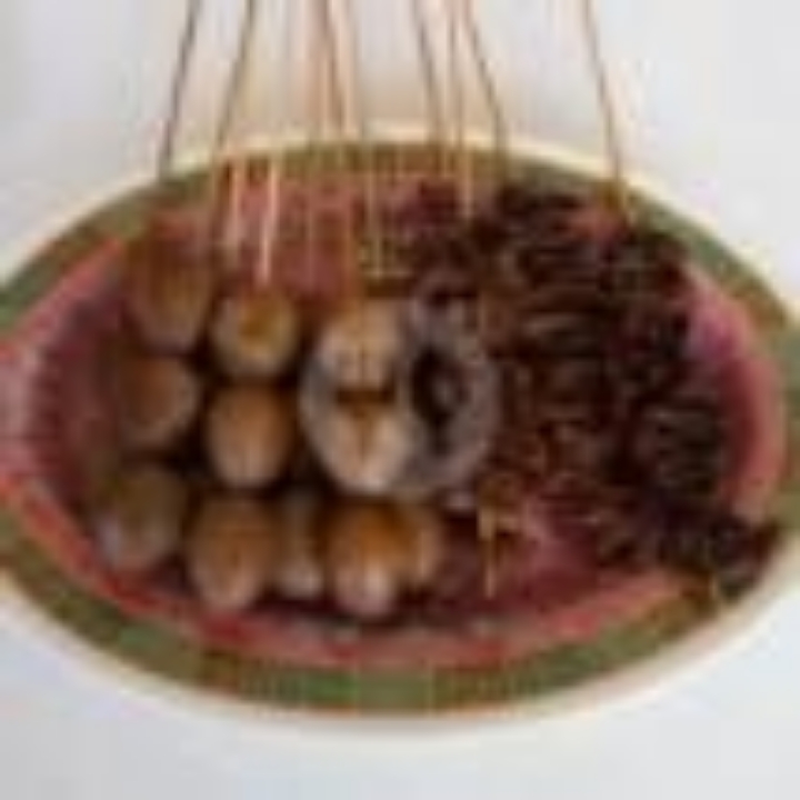 Sate Usus