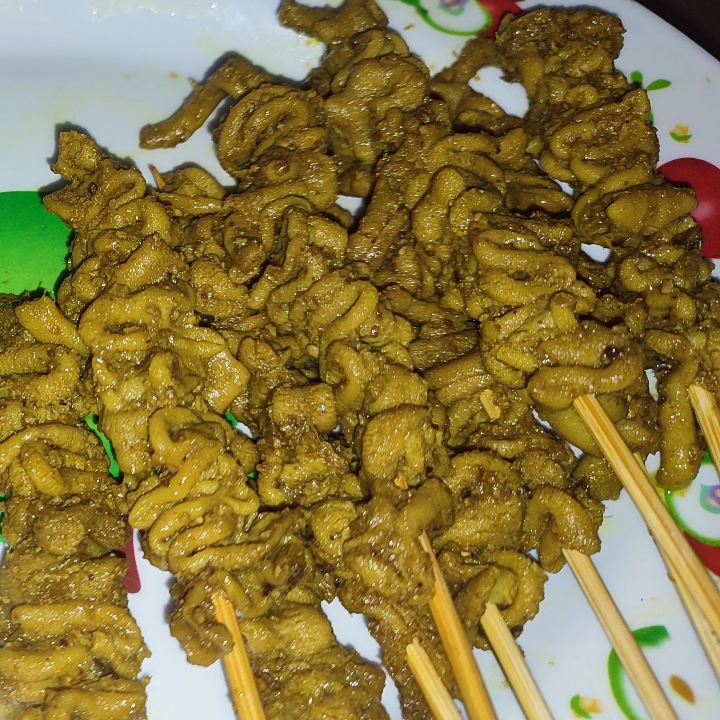 Sate Usus