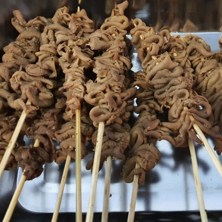 Sate Usus