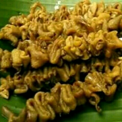 Sate Usus