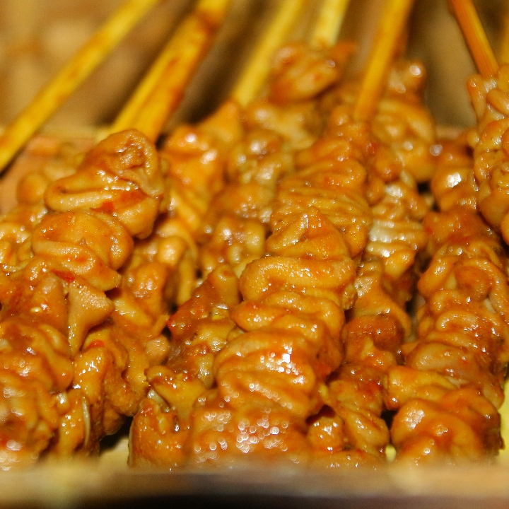 Sate Usus