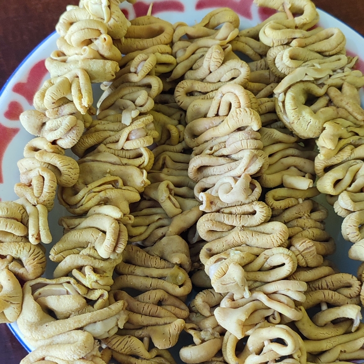 Sate Usus Goreng