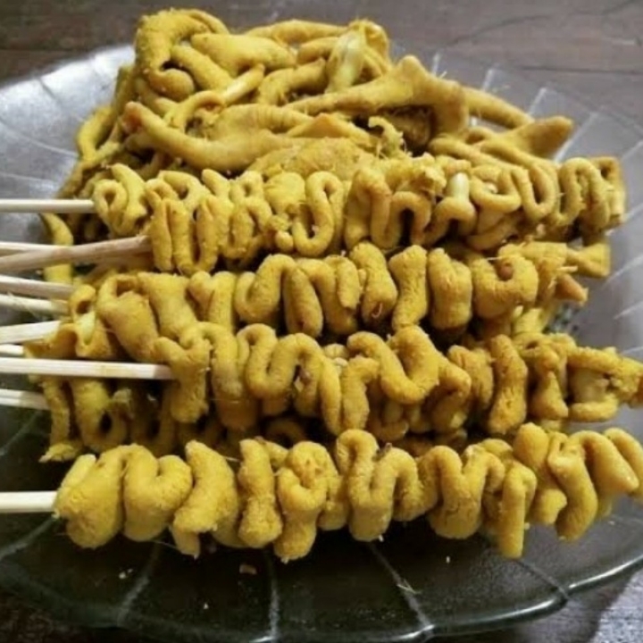 Sate usus