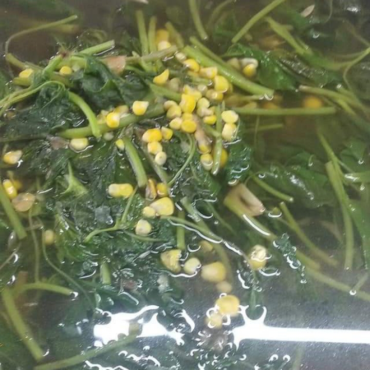 Sayur Bayam Jagung