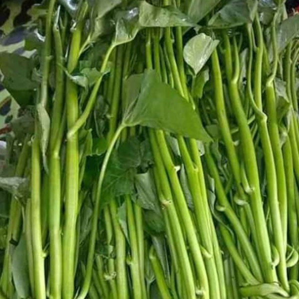 Sayur Kangkung