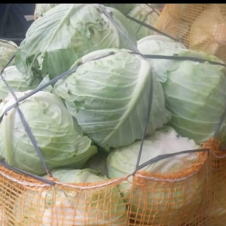 Sayur Kol 1 Kg