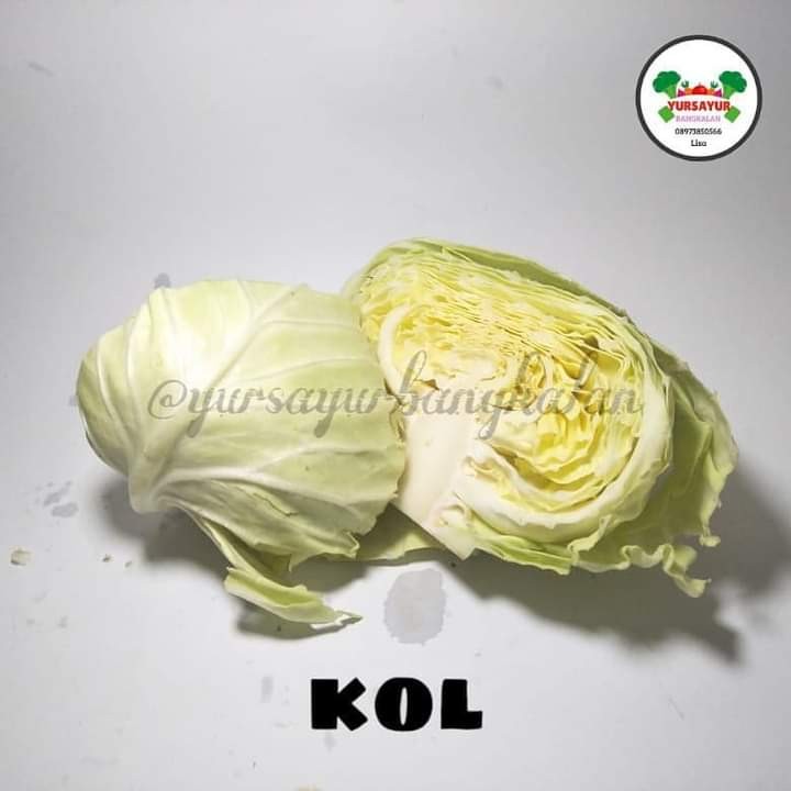 Sayur Kol