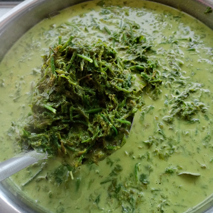 Sayur Pakis Atau Sayur Paku