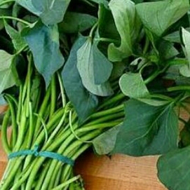 Sayur daun Ubi 