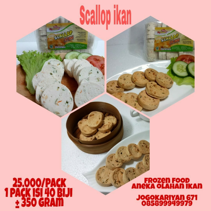 Scallop Ikan