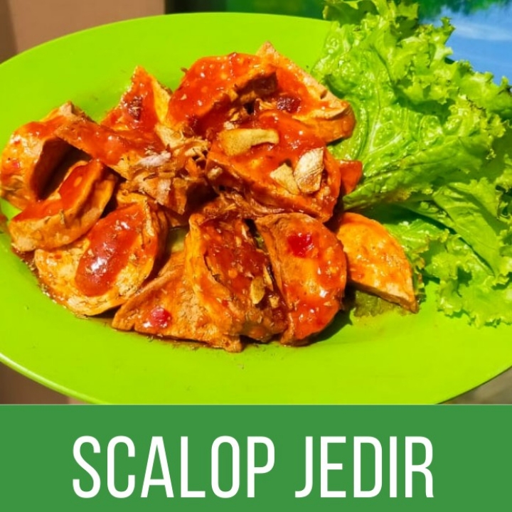 Scalop Jedir