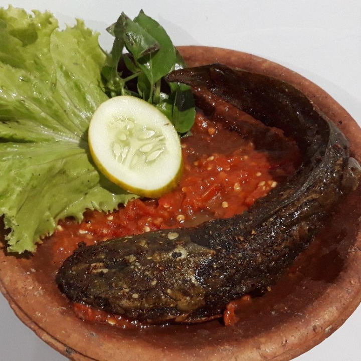 Sego Sambal Lele