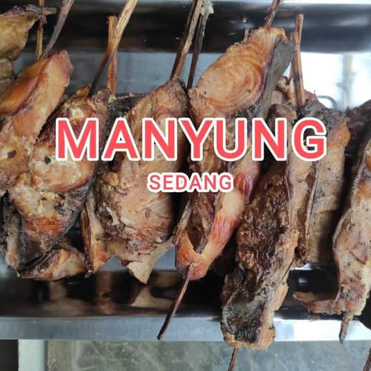 Sego Sambelan Iwak manyung - Lalapan ikan manyung 2