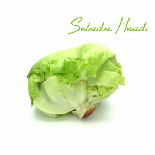 Selada Head 500gram