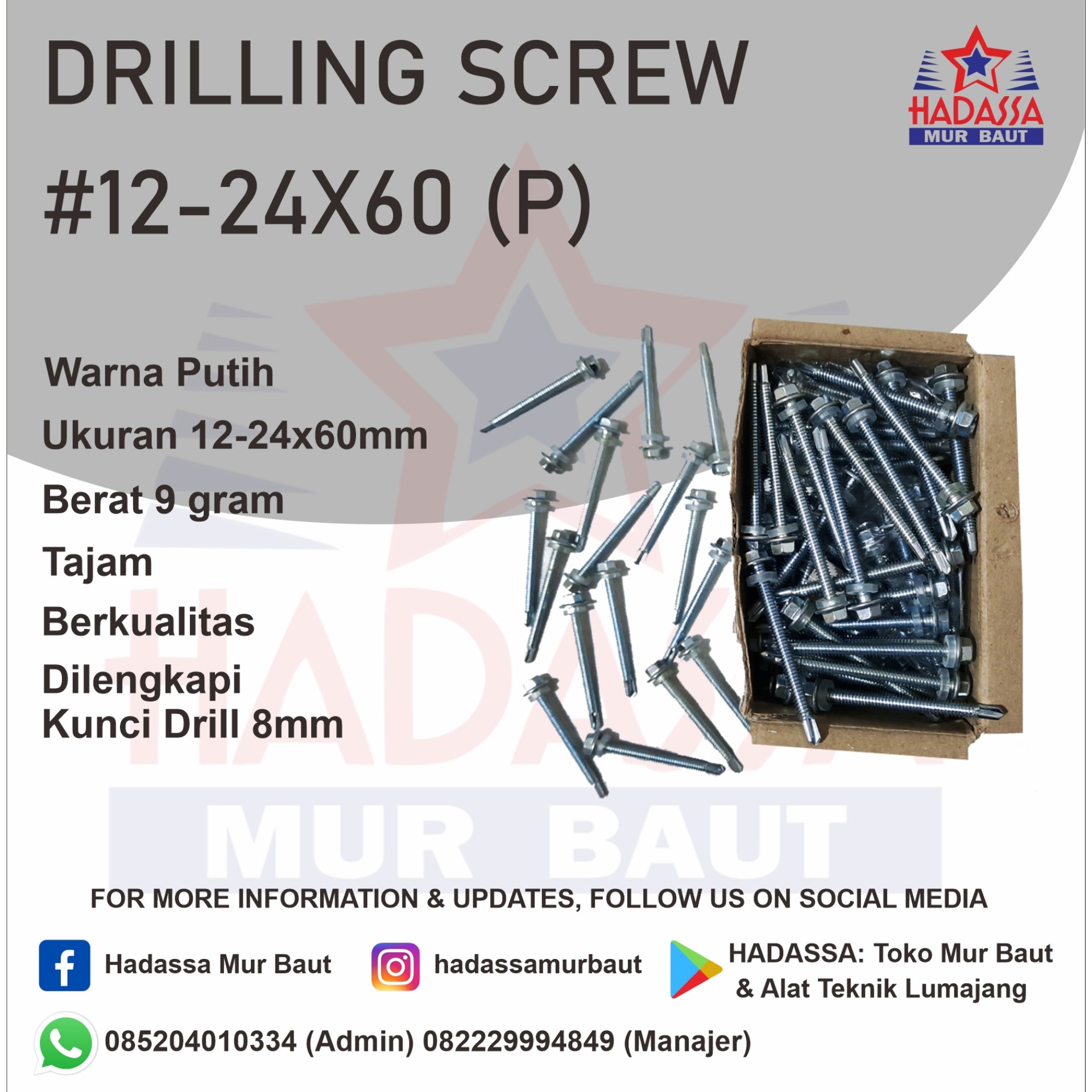 Drilling Screw 12-24x60 P