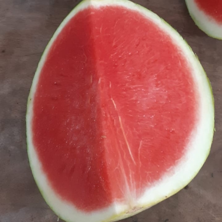 Semangka merah non biji 